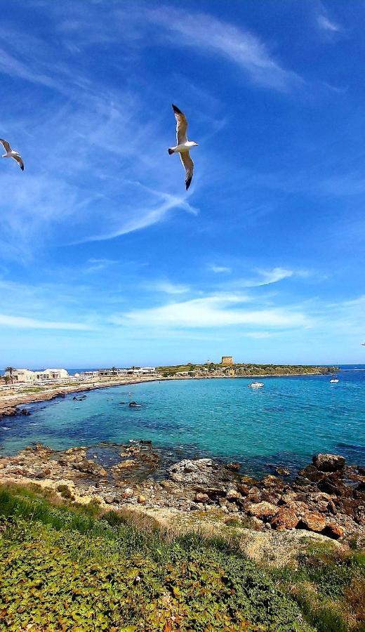Apartament Casa Milo Playa Los Locos Torrevieja Dış mekan fotoğraf